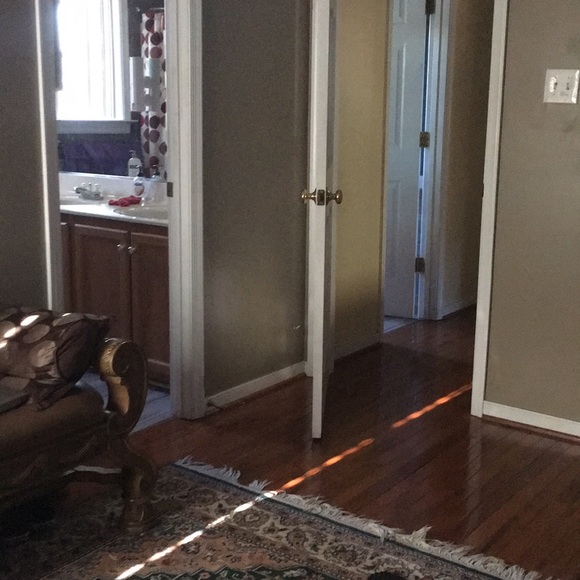 Meet your Posher, Anahita - Picture 1 of 1